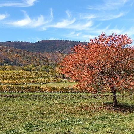 فندق Le Saint Vincent Apremont  المظهر الخارجي الصورة