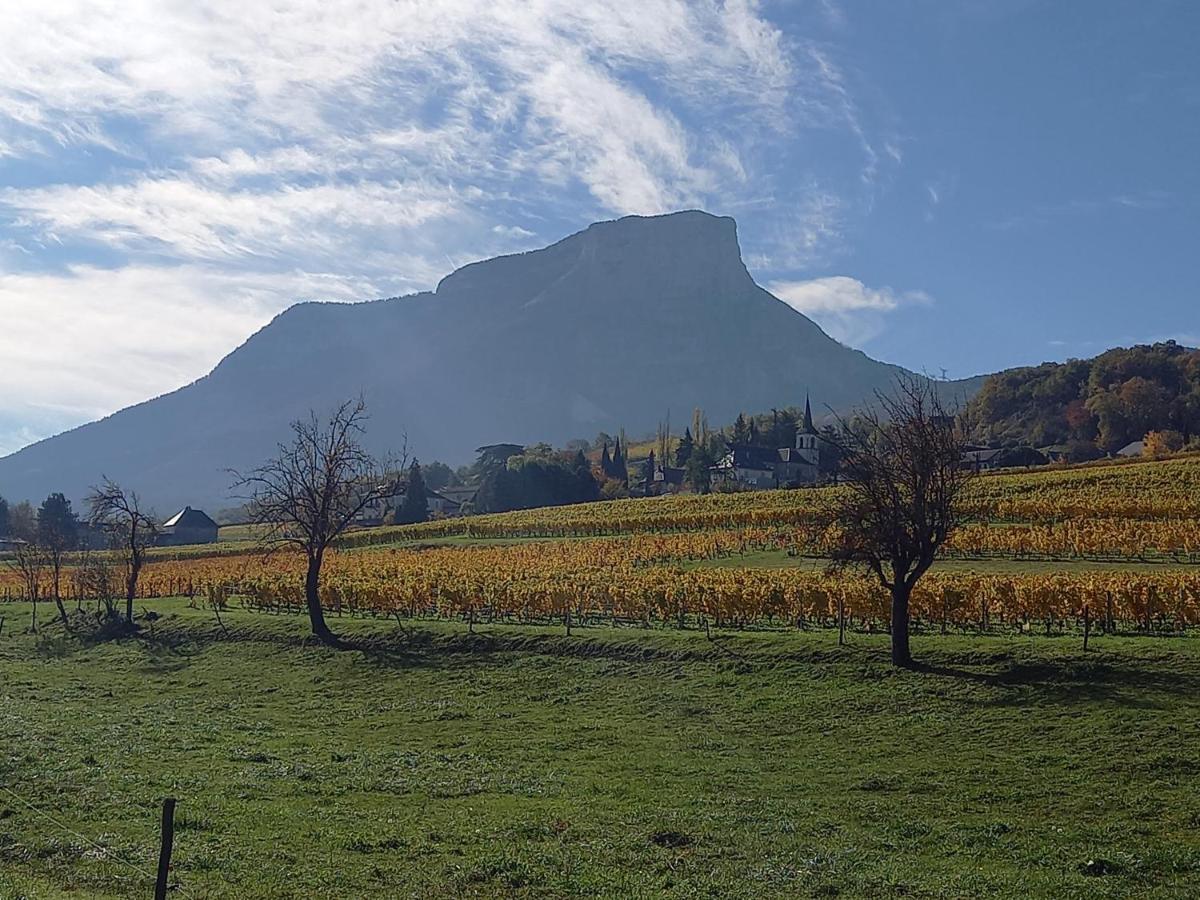 فندق Le Saint Vincent Apremont  المظهر الخارجي الصورة